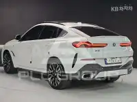 2024 BMW X6