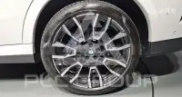 2024 BMW X6