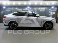 2024 BMW X6