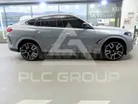 2024 BMW X6