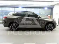 2024 BMW X6
