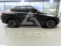 2024 BMW X6