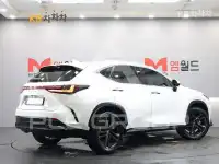2024 Lexus NX