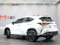 2024 Lexus NX