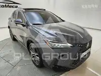 2024 Lexus NX