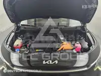 2024 KIA Niro