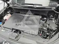 2024 KIA Niro