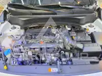 2024 KIA Seltos