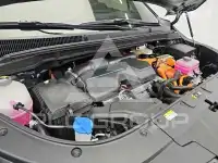 2024 KIA Carnival