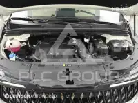 2024 KIA Carnival