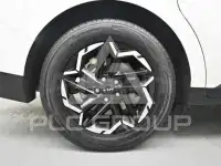 2024 KIA Carnival