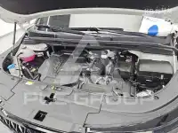 2024 KIA Carnival