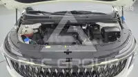 2024 KIA Carnival