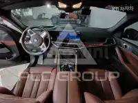 2025 BMW X6