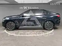 2025 BMW X6
