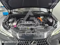2025 Lexus NX