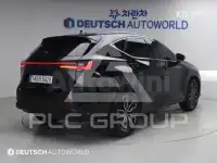 2025 Lexus NX