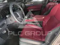 2025 Lexus NX