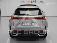 2025 Lexus NX