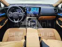 2025 Lexus NX