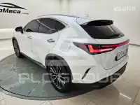2025 Lexus NX