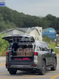 2025 Lexus LX