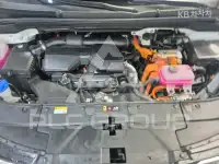 2025 KIA Carnival