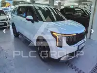 2025 KIA Carnival