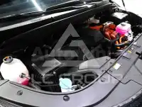 2025 KIA Carnival