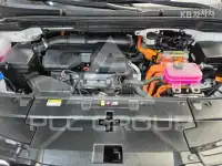 2025 KIA Carnival
