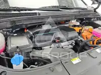 2025 KIA Carnival