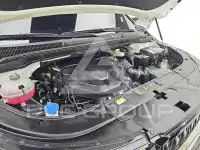 2025 KIA Carnival
