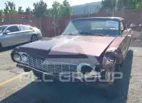 1964  фото