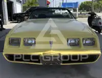 1979 Pontiac FIREBIRD photo