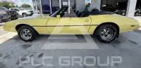 1979 Pontiac FIREBIRD photo