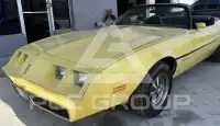1979 Pontiac FIREBIRD photo