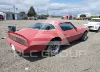 1981 Pontiac FIREBIRD photo
