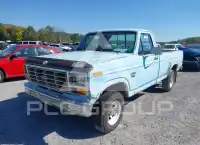 1982 Ford F-150 photo