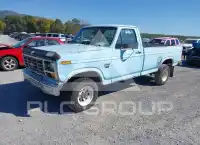 1982 Ford F-150 photo