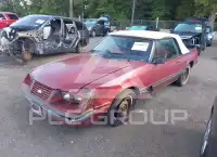 1984 Ford MUSTANG фото