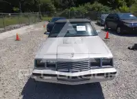 1985 Dodge 600 photo