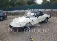 1987 Alfa Romeo Spider фото
