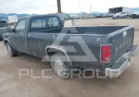 1988 Dodge DAKOTA photo