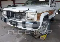 1991 Jeep CHEROKEE фото