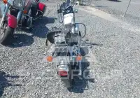 1994 Harley-Davidson XLH883 фото