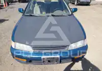 1995 Honda Accord photo