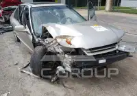 1995 Honda Accord photo