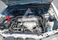 1996 Honda Accord фото
