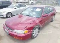 1996 Honda Accord фото