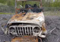 1998 Jeep WRANGLER фото